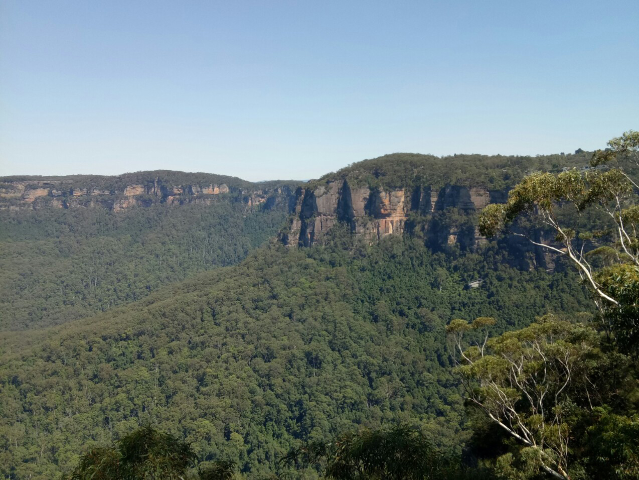 Image of the Blue Mountains